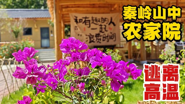 秦岭深山里的农家小院，来这避暑躺平可太爽了！